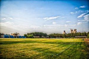 natural grass lands4