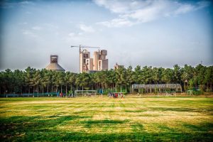 natural grass lands3