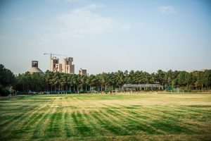 natural grass lands2