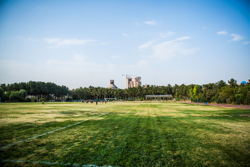 natural grass lands